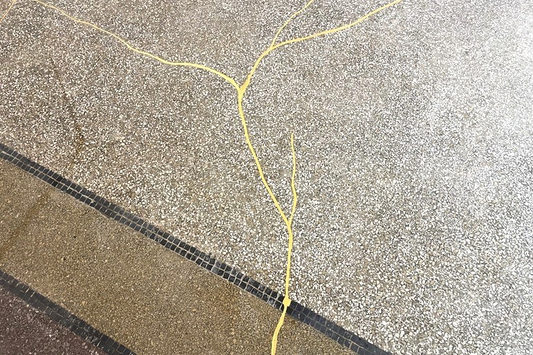 {!! $image->product_title !!}